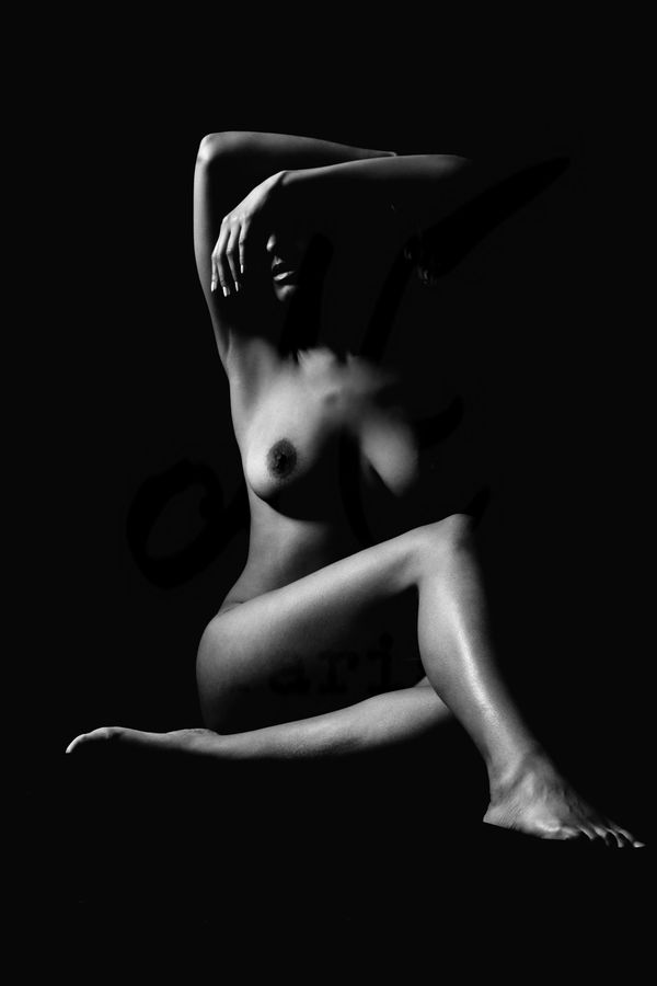 Portfolio Image